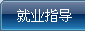 ��ҵָ��